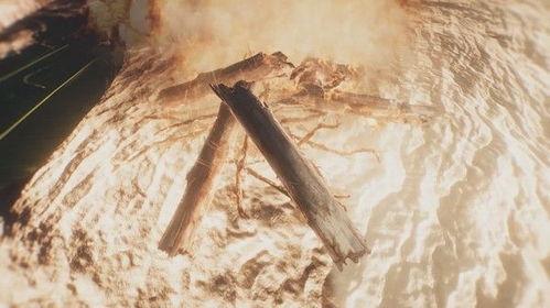 赤裸与恐惧：启示录,启示录——探寻人性深渊的惊悚之旅