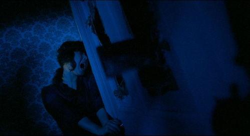 午夜凶杀,揭秘神秘凶杀案背后的真相